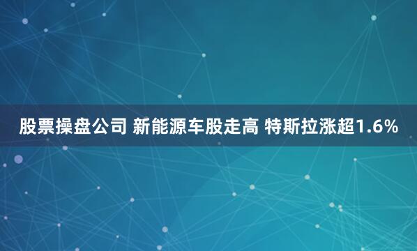 股票操盘公司 新能源车股走高 特斯拉涨超1.6%