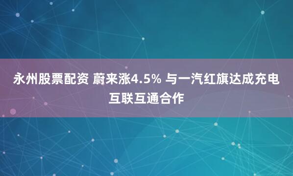 永州股票配资 蔚来涨4.5% 与一汽红旗达成充电互联互通合作