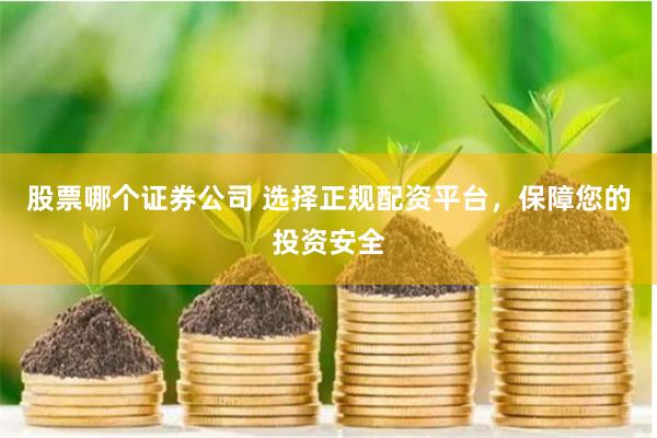 股票哪个证券公司 选择正规配资平台，保障您的投资安全